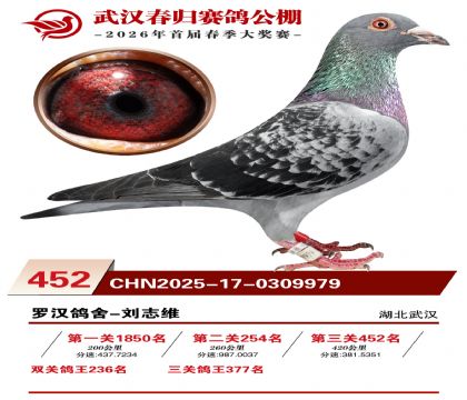 武汉春归决赛452名