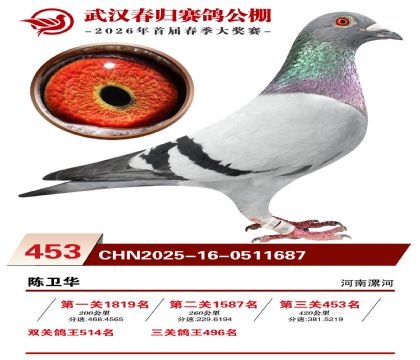 武汉春归决赛453名