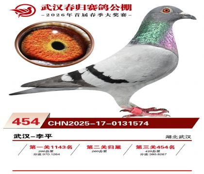武汉春归决赛454名