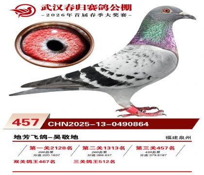武汉春归决赛457名