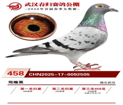 武汉春归决赛458名