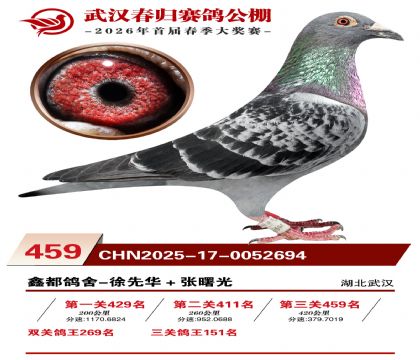武汉春归决赛459名