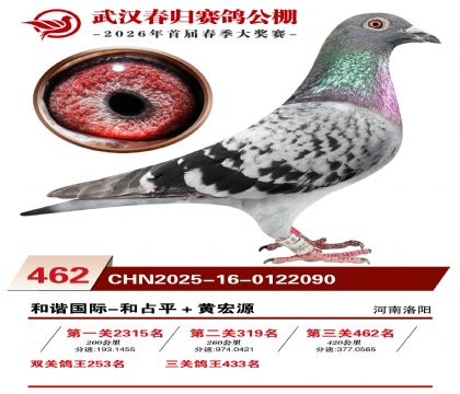 武汉春归决赛462名