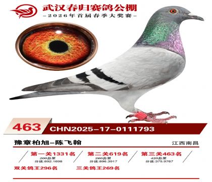 武汉春归决赛463名