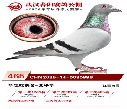 武汉春归决赛465名