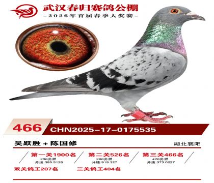 武汉春归决赛466名