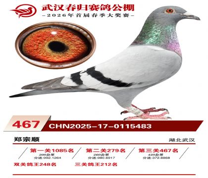 武汉春归决赛467名