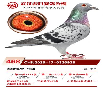 武汉春归决赛468名