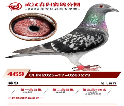 武汉春归决赛469名