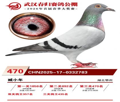 武汉春归决赛470名