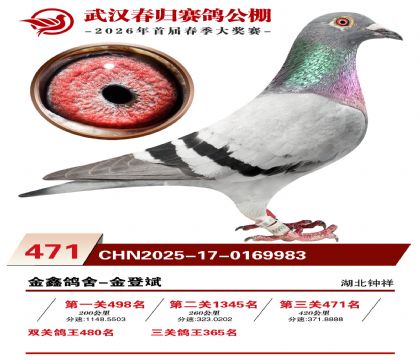 武汉春归决赛471名