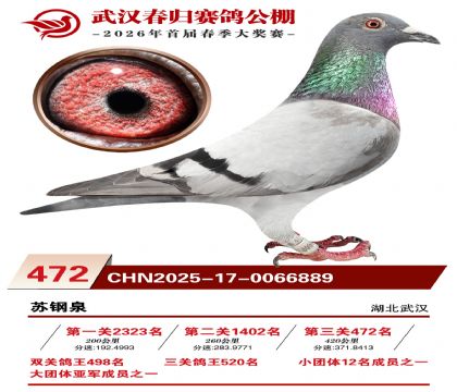 武汉春归决赛472名