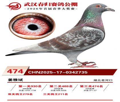 武汉春归决赛474名