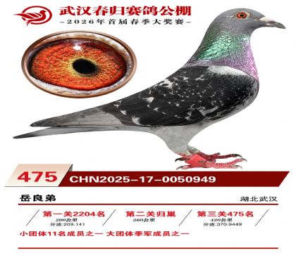 武汉春归决赛475名