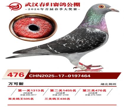 武汉春归决赛476名