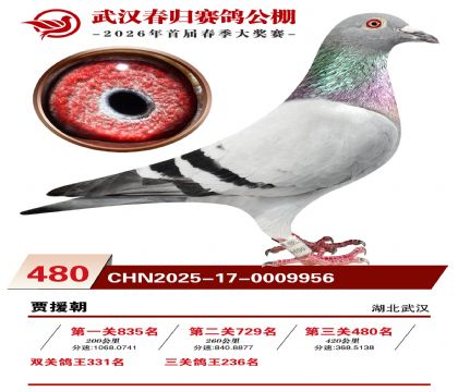 武汉春归决赛480名