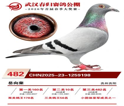 武汉春归决赛482名