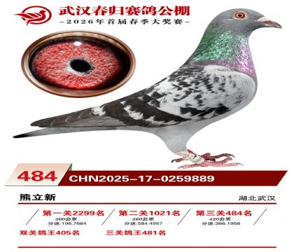 武汉春归决赛484名