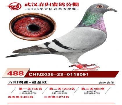 武汉春归决赛488名
