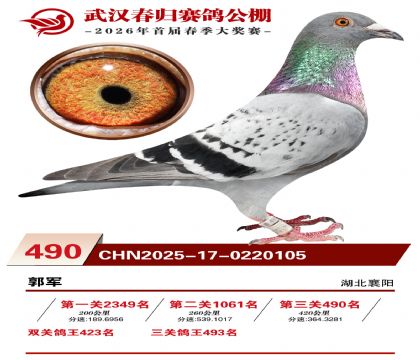 武汉春归决赛490名