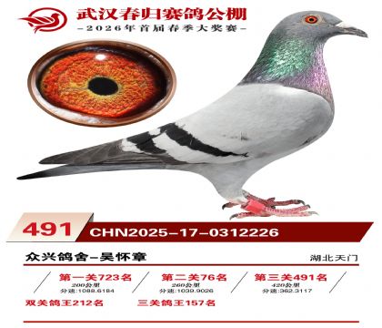 武汉春归决赛491名