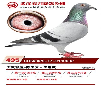 武汉春归决赛495名