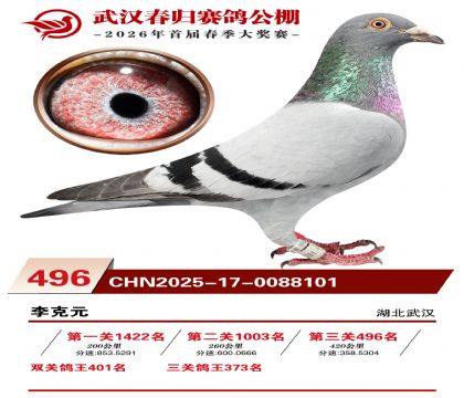 武汉春归决赛496名