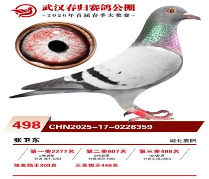 武汉春归决赛498名
