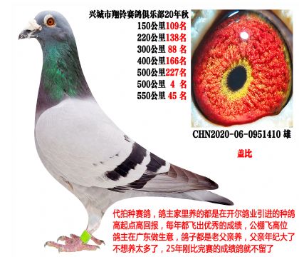 �������ۣ�����500����4���������Ǳȣ�