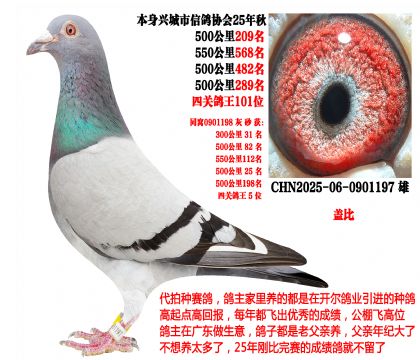 25�����Ĺظ�λ��ͬ��ĸ�Ĺظ�λ5λ�������Ǳȣ�