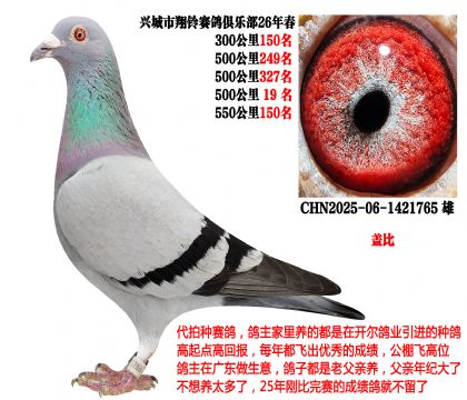 26�괺4��500����ɼ����λ�������Ǳȣ�