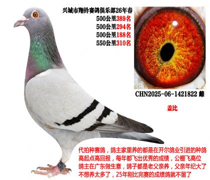 26�괺4��500����ɼ��루�����Ǳȣ�