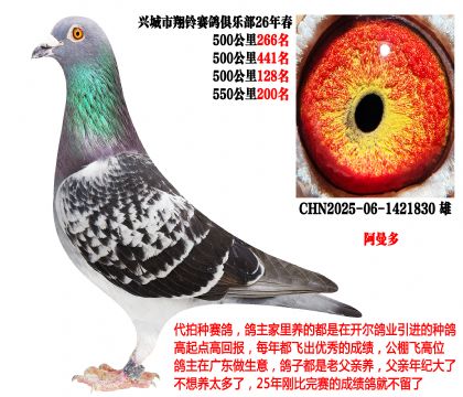 26�괺4��500����ɼ��루���������ࣩ
