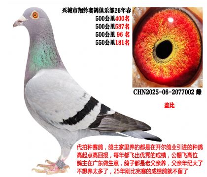 26�괺4��500����ɼ��루�����Ǳȣ�