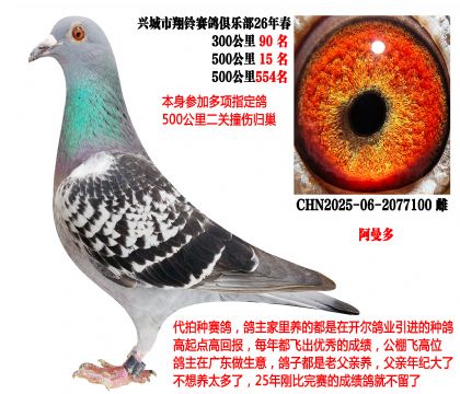 26�괺��500����15����ָ�������ڣ����������ࣩ