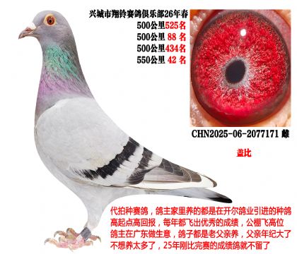 26�괺4��500����ɼ����λ�������Ǳȣ�