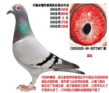 26�괺4��500����ɼ��룬500����5���������Ǳȣ�