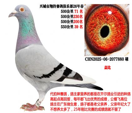 26�괺4��500����ɼ����λ�������Ǳȣ�