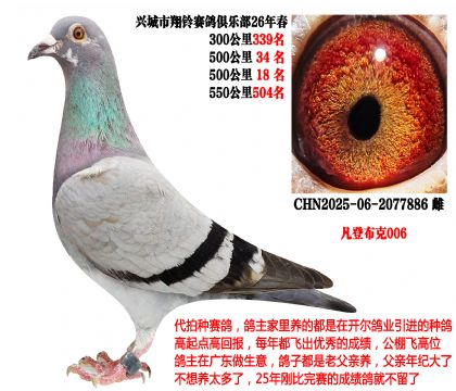 26�괺500����18����500����34�������ǲ���006��