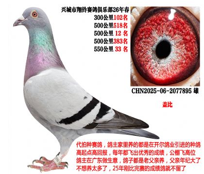 26�괺4��500����ɼ����λ�������Ǳȣ�