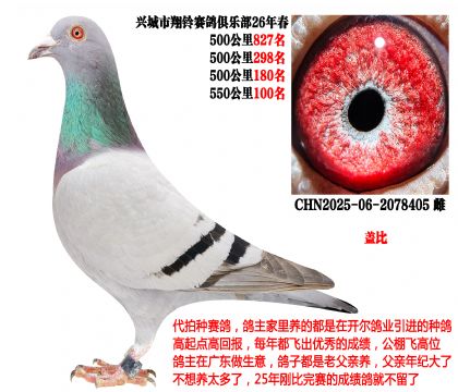 26�괺4��500����ɼ��루�����Ǳȣ�