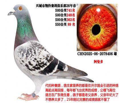 26�괺4��500����ɼ����λ�����������ࣩ