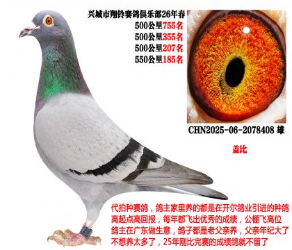 26�괺4��500����ɼ��루�����Ǳȣ�