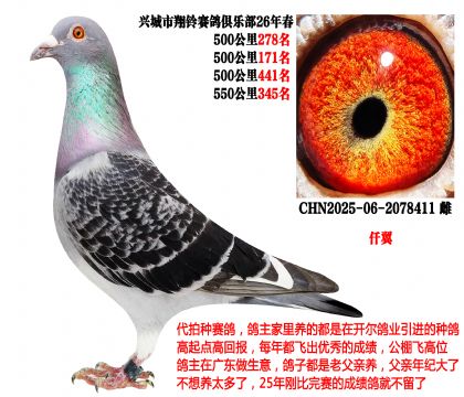 26�괺4��500����ɼ��루������ҵǪ����