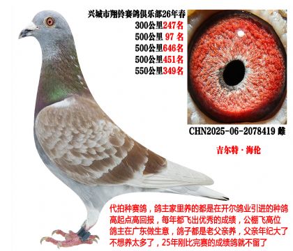 26�괺4��500����ɼ����λ�������ء����ף�