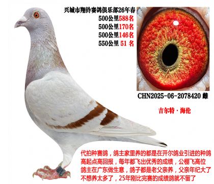 26�괺4��500����ɼ����λ�������ء����ף�