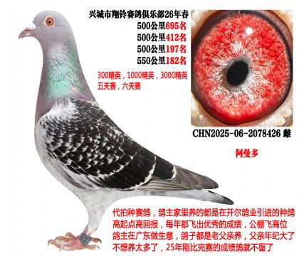 ��ָ�������ڣ�26�괺4��500����ɼ��루���������ࣩ