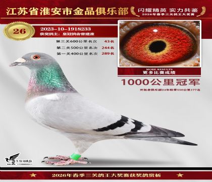 ��Ʒǧ����ھ�