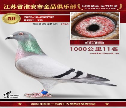 ��Ʒǧ����11��