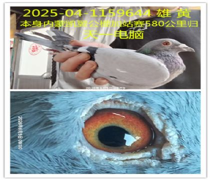 ���ɿ��������վ��580�������һ����